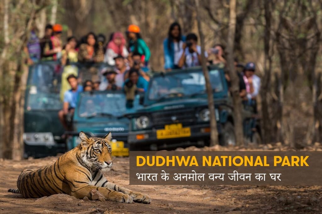 Dudhwa National Park: भारत के अनमोल वन्य जीवन का घर