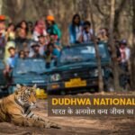 Dudhwa National Park: भारत के अनमोल वन्य जीवन का घर