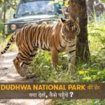 visit to dudhwa national park what to see how to reach